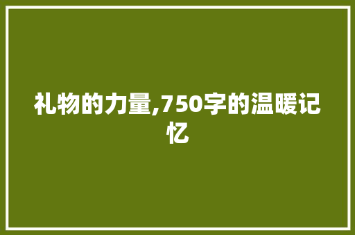 礼物的力量,750字的温暖记忆