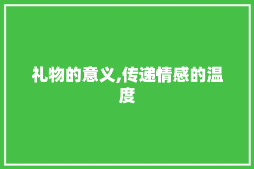 礼物的意义,传递情感的温度