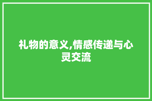 礼物的意义,情感传递与心灵交流