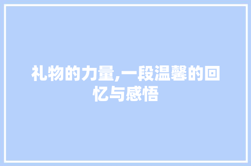 礼物的力量,一段温馨的回忆与感悟