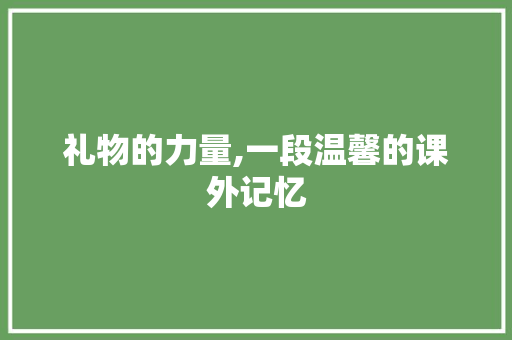 礼物的力量,一段温馨的课外记忆