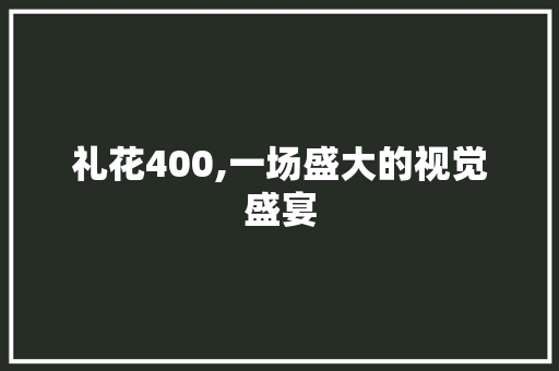 礼花400,一场盛大的视觉盛宴