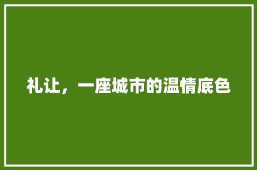 礼让，一座城市的温情底色