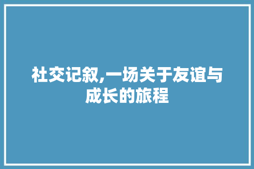 社交记叙,一场关于友谊与成长的旅程