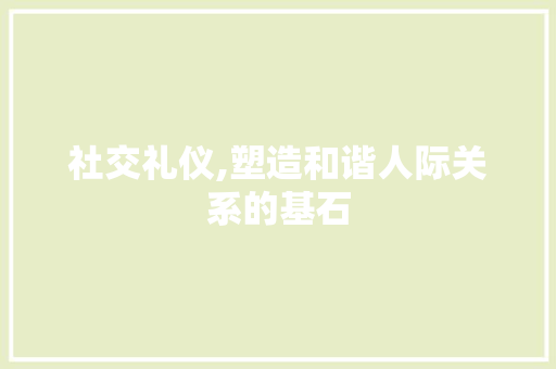 社交礼仪,塑造和谐人际关系的基石