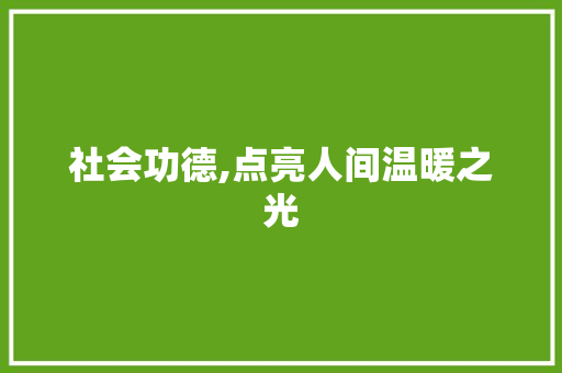 社会功德,点亮人间温暖之光