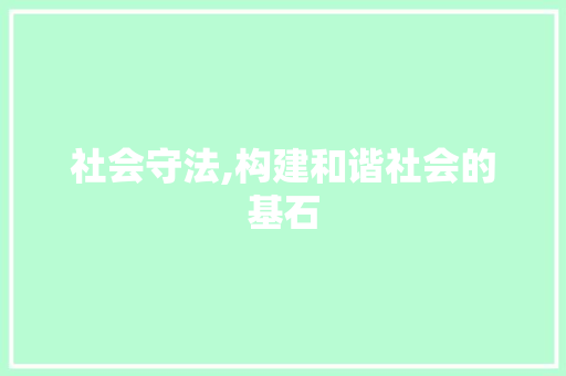 社会守法,构建和谐社会的基石