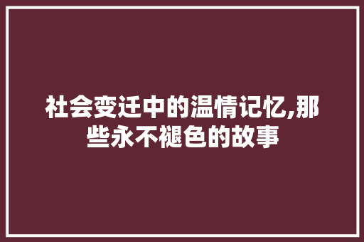 社会变迁中的温情记忆,那些永不褪色的故事