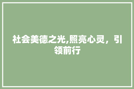 社会美德之光,照亮心灵，引领前行