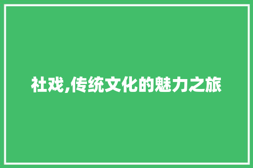 社戏,传统文化的魅力之旅