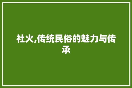 社火,传统民俗的魅力与传承