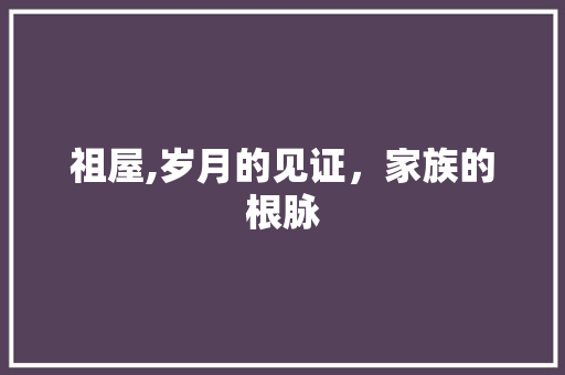 祖屋,岁月的见证，家族的根脉