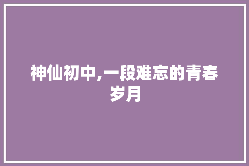 神仙初中,一段难忘的青春岁月