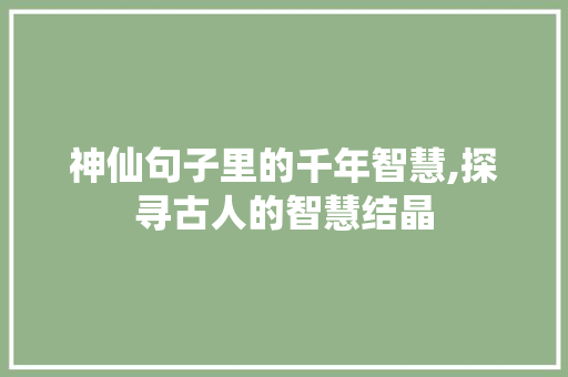 神仙句子里的千年智慧,探寻古人的智慧结晶