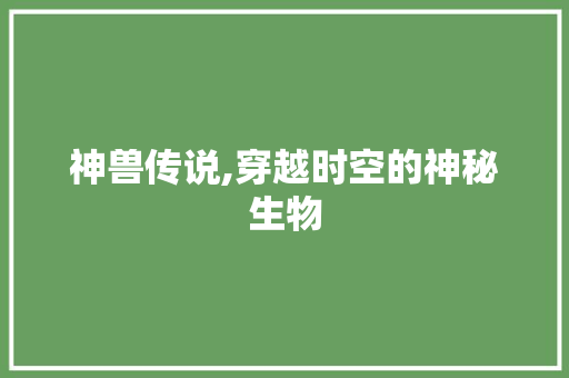 神兽传说,穿越时空的神秘生物