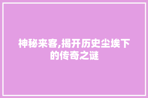 神秘来客,揭开历史尘埃下的传奇之谜