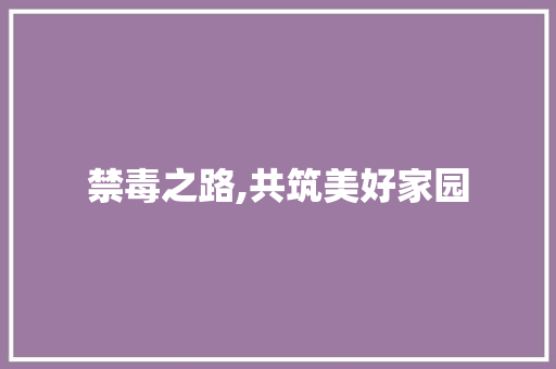 禁毒之路,共筑美好家园