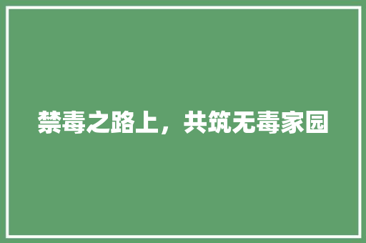 禁毒之路上，共筑无毒家园