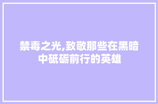 禁毒之光,致敬那些在黑暗中砥砺前行的英雄