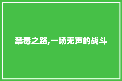 禁毒之路,一场无声的战斗