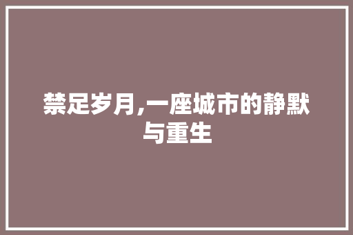 禁足岁月,一座城市的静默与重生