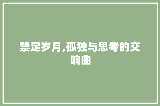 禁足岁月,孤独与思考的交响曲