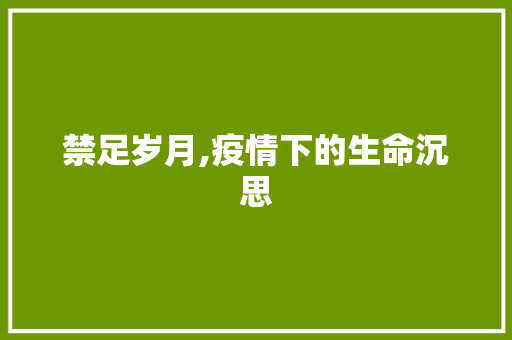 禁足岁月,疫情下的生命沉思