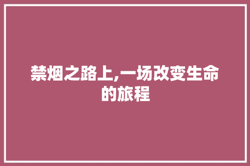 禁烟之路上,一场改变生命的旅程