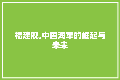 福建舰,中国海军的崛起与未来