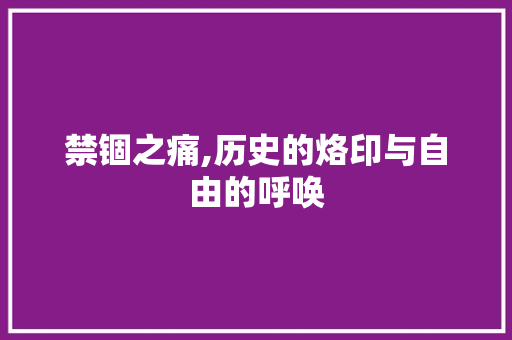 禁锢之痛,历史的烙印与自由的呼唤