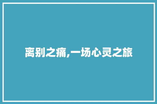 离别之痛,一场心灵之旅