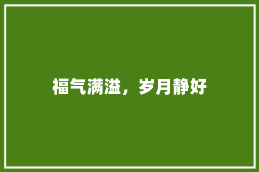 福气满溢，岁月静好