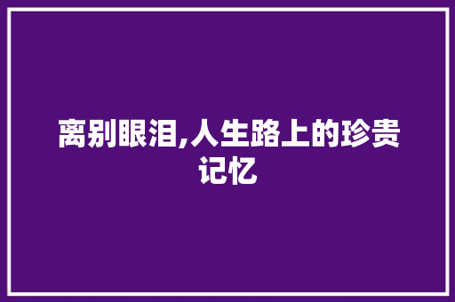 离别眼泪,人生路上的珍贵记忆