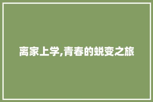 离家上学,青春的蜕变之旅