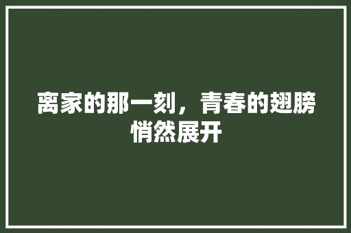 离家的那一刻，青春的翅膀悄然展开