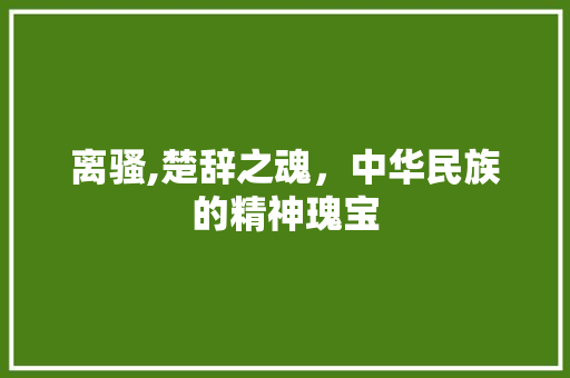 离骚,楚辞之魂，中华民族的精神瑰宝