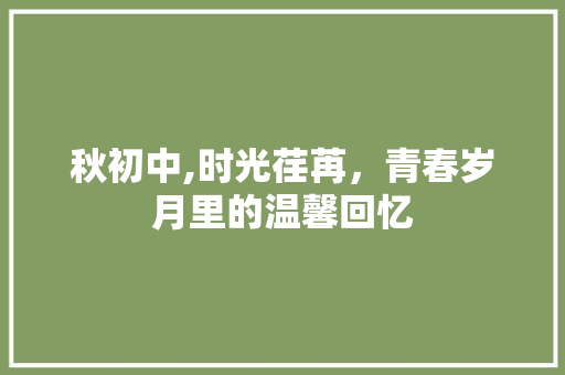 秋初中,时光荏苒，青春岁月里的温馨回忆