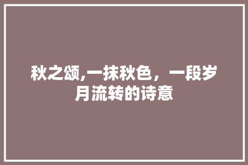 秋之颂,一抹秋色，一段岁月流转的诗意