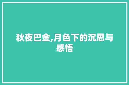 秋夜巴金,月色下的沉思与感悟