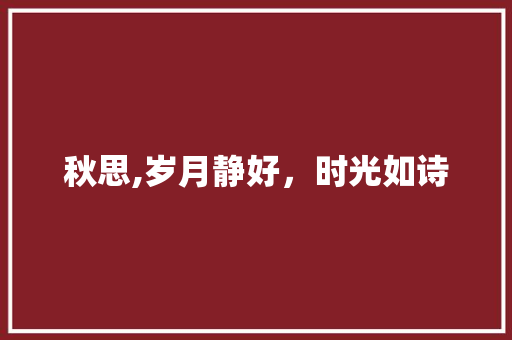 秋思,岁月静好，时光如诗