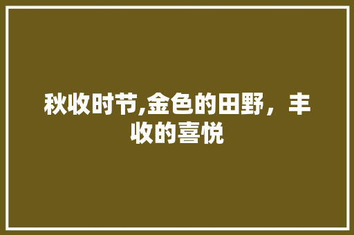 秋收时节,金色的田野，丰收的喜悦