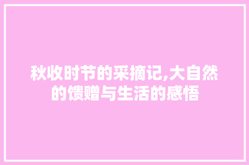 秋收时节的采摘记,大自然的馈赠与生活的感悟