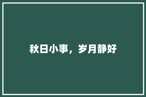 秋日小事，岁月静好