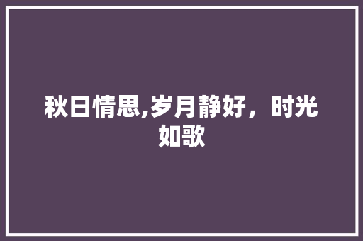 秋日情思,岁月静好，时光如歌