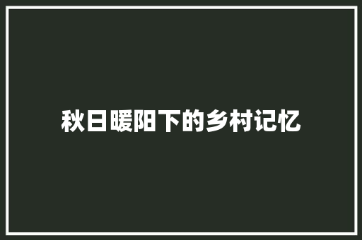 秋日暖阳下的乡村记忆