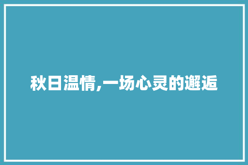 秋日温情,一场心灵的邂逅