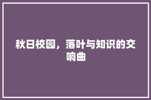 秋日校园，落叶与知识的交响曲