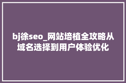 bj徐seo_网站培植全攻略从域名选择到用户体验优化 致辞范文