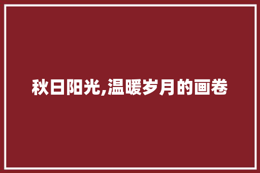 秋日阳光,温暖岁月的画卷