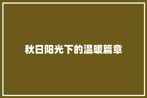 秋日阳光下的温暖篇章